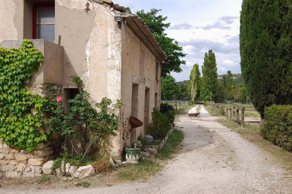 Chambre D'Hotes Manon - Domaine Les Peupliers - Lagnes 外观 照片